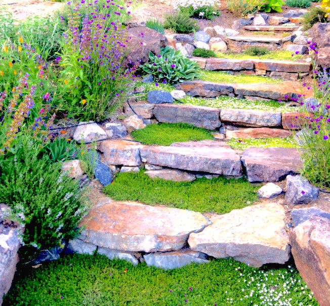 Photo of a rustic full sun stone landscaping in San Francisco.