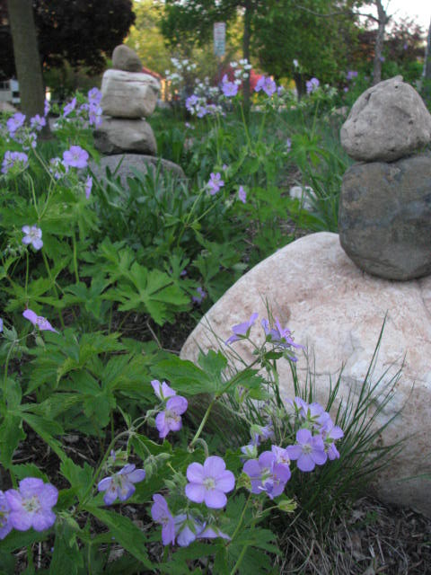 Ispirazione per un giardino xeriscape rustico esposto in pieno sole davanti casa in primavera