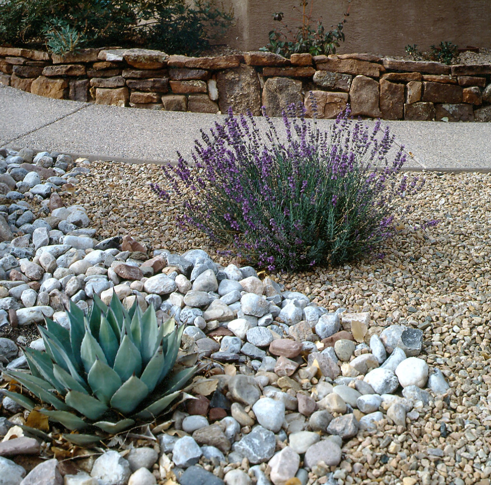Пример оригинального дизайна: большой солнечный засухоустойчивый сад на заднем дворе в стиле фьюжн с хорошей освещенностью и покрытием из гравия
