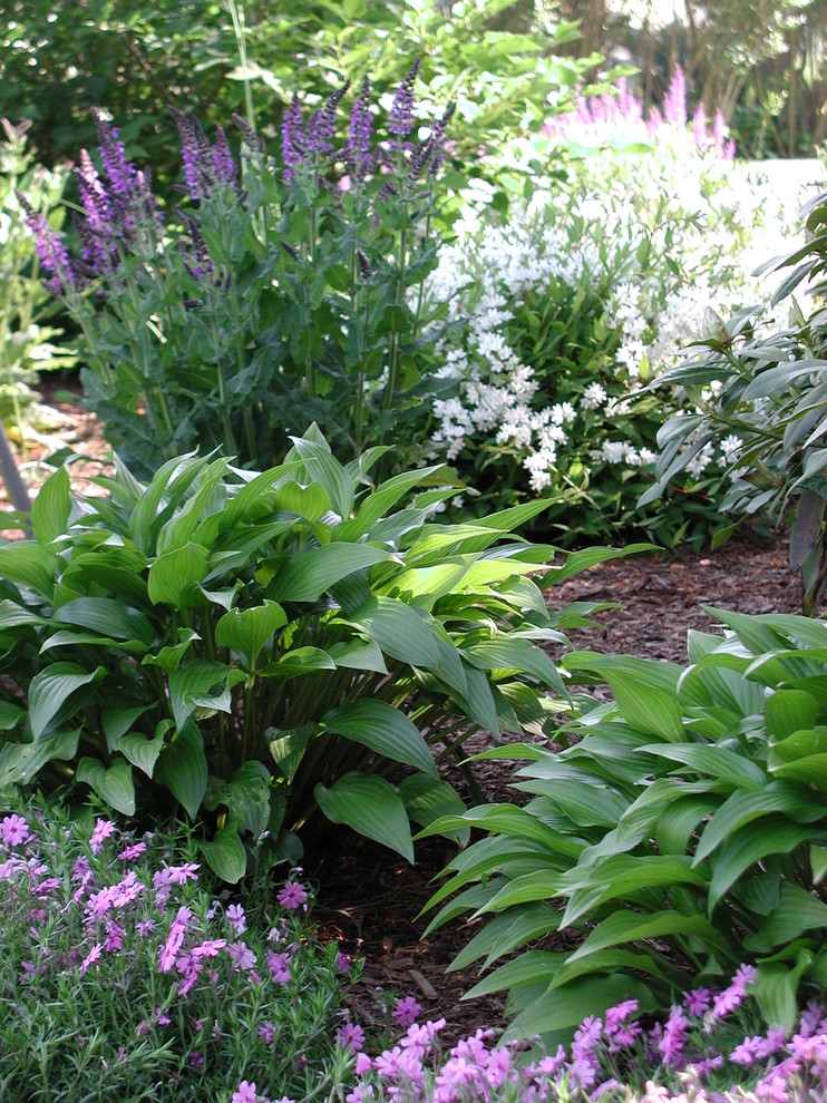 Design ideas for a traditional back fully shaded garden for spring in New York with a garden path and mulch.