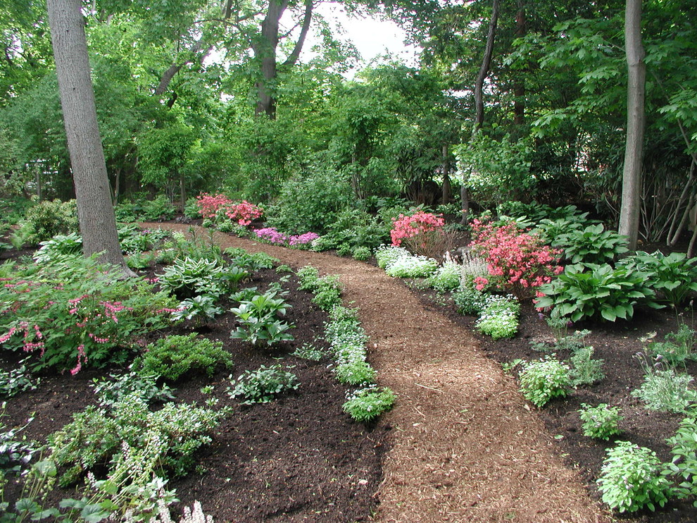 Amerikansk inredning av en bakgård i skuggan, med en trädgårdsgång och marktäckning på våren