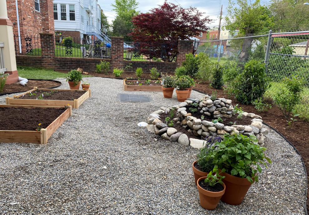 This is an example of a mid-sized contemporary drought-tolerant and full sun backyard gravel vegetable garden landscape in DC Metro for spring.