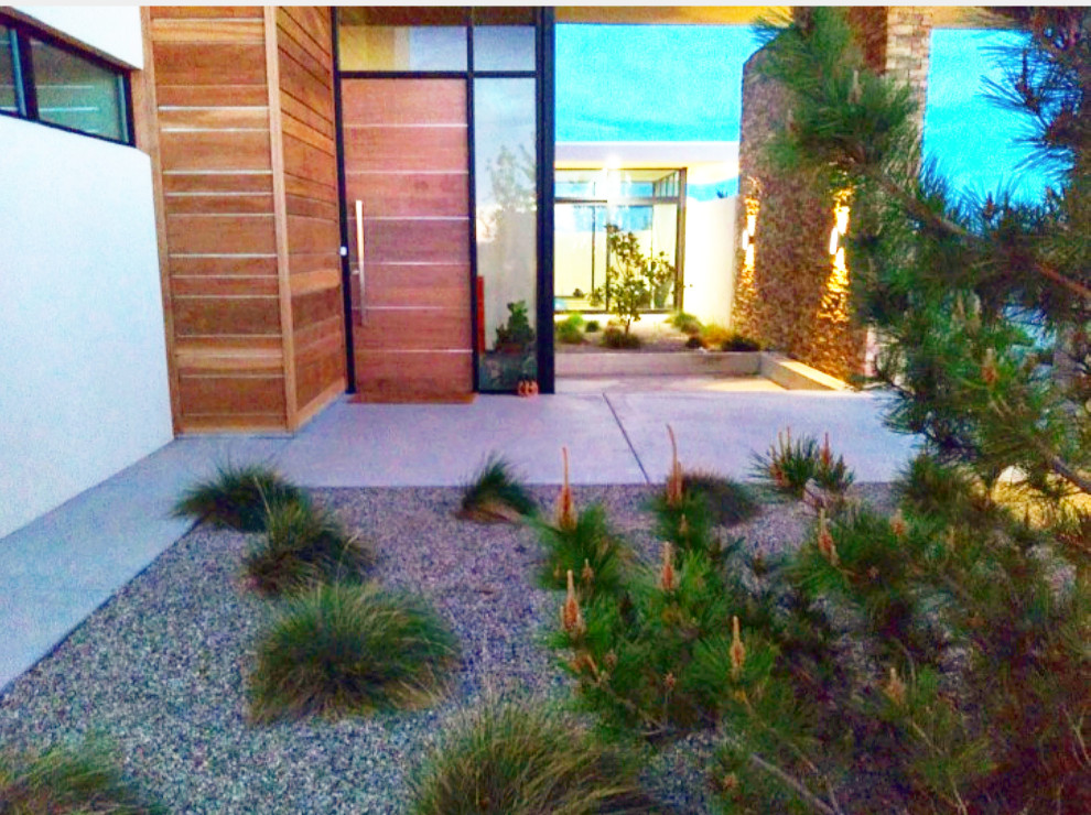 Foto di un piccolo giardino xeriscape minimalista esposto a mezz'ombra in cortile con ghiaia