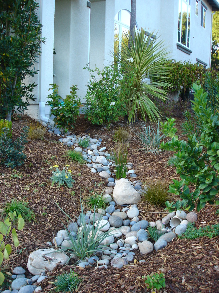 Design ideas for a traditional landscaping in San Luis Obispo.