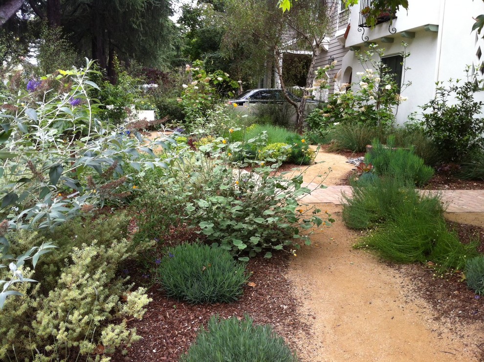 Idee per un giardino mediterraneo davanti casa con graniglia di granito