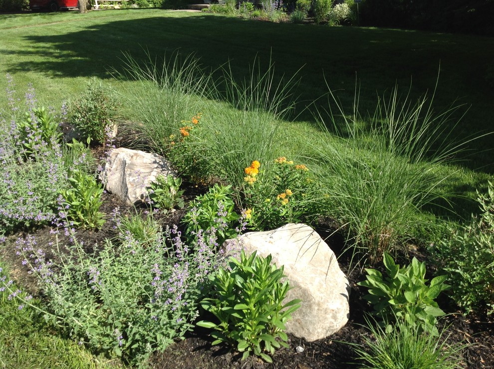 Natural Landscape Design with Native Plants in Suburban Scarsdale