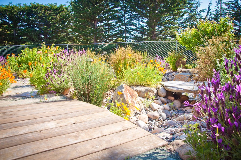 Photo of a mediterranean garden in San Luis Obispo.
