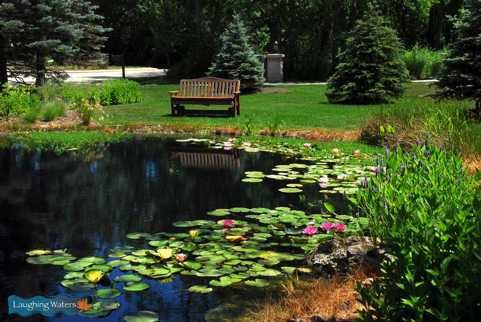 Diseño de jardín de secano rústico extra grande en verano en patio lateral con fuente y exposición total al sol