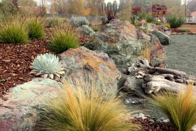 Mediterranean xeriscape garden in San Luis Obispo with a retaining wall and mulch.