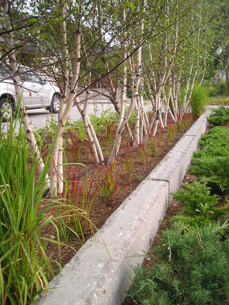 This is an example of an asian landscaping in Toronto.