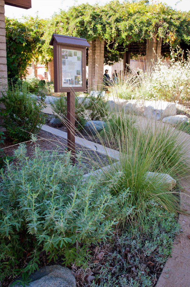 Diseño de camino de jardín de secano rural grande en otoño en patio lateral con adoquines de piedra natural y exposición parcial al sol