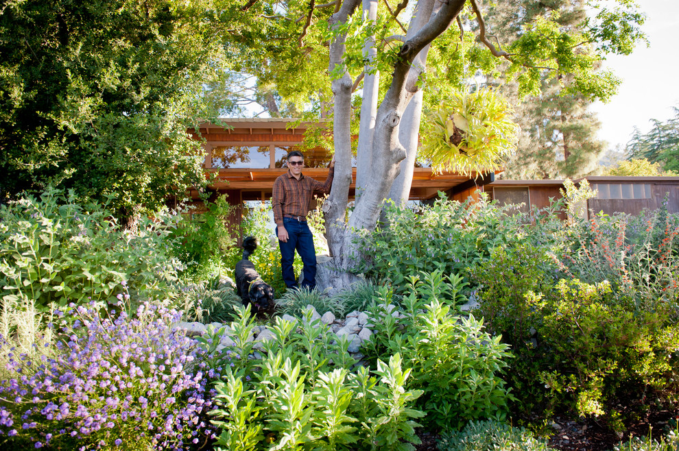 Große, Halbschattige Retro Gartenmauer im Frühling, hinter dem Haus mit Natursteinplatten in Los Angeles