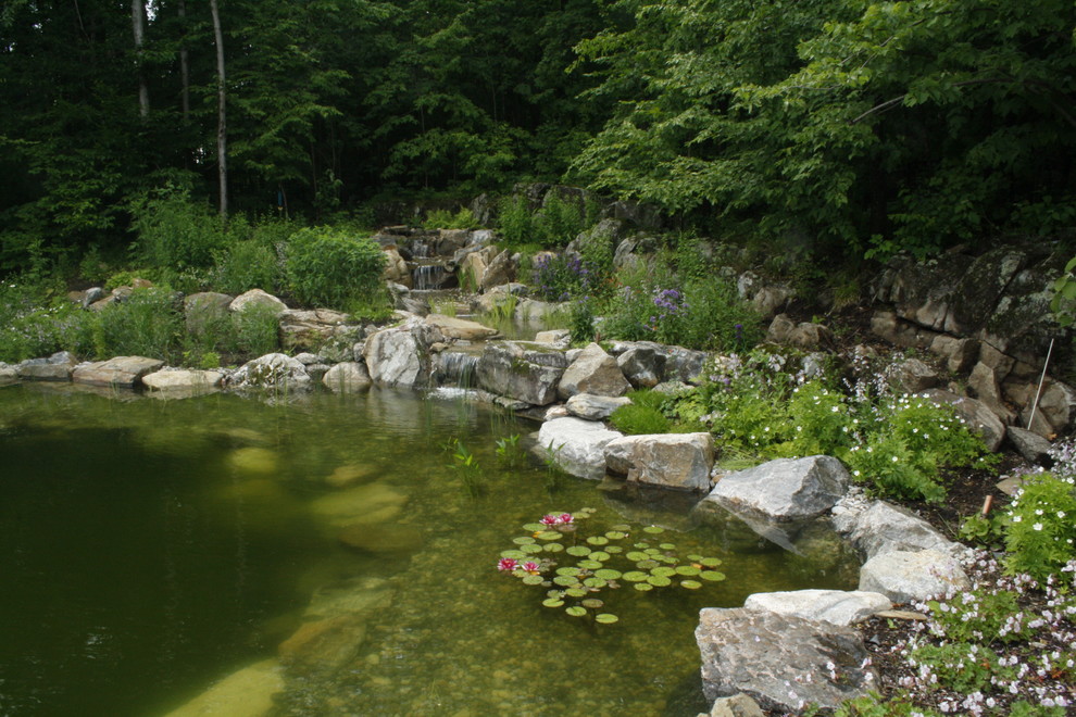 Cette image montre un jardin traditionnel avec un bassin et des pavés en pierre naturelle.