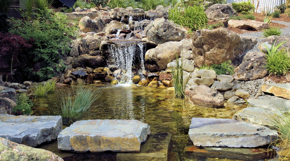 Inspiration pour un grand jardin arrière traditionnel avec un bassin et des pavés en pierre naturelle.