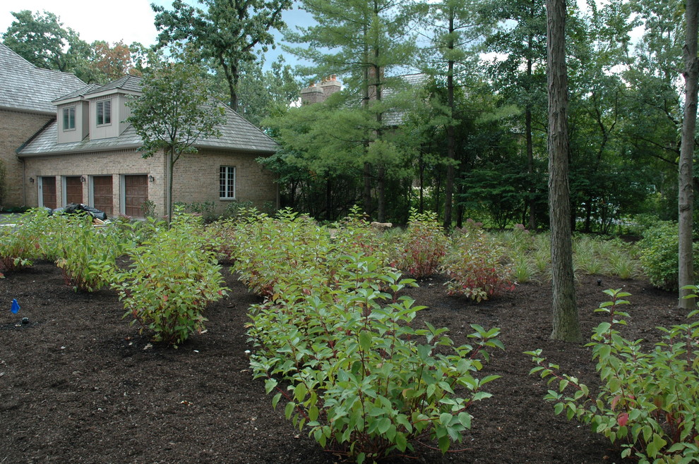 Large traditional front full sun garden in Chicago with gravel.