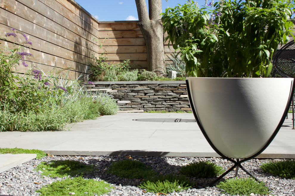 Immagine di un giardino formale minimalista di medie dimensioni e dietro casa con un muro di contenimento