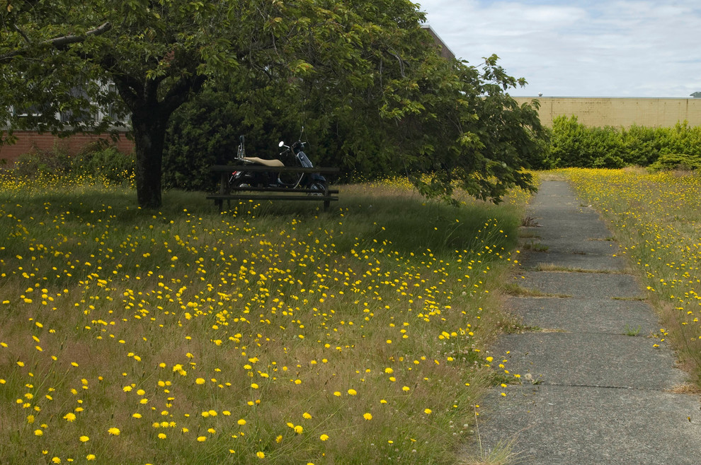 バンクーバーにあるエクレクティックスタイルのおしゃれな庭の写真