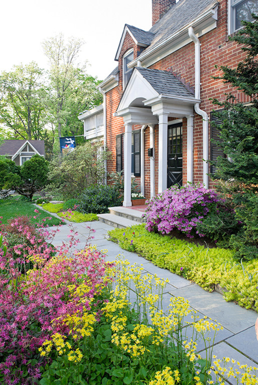 Design ideas for a contemporary full sun front yard landscaping in DC Metro.