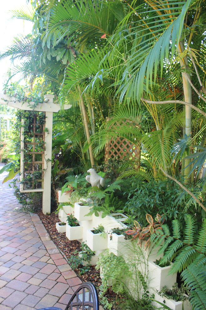 Inspiration for a tropical landscaping in Orlando.
