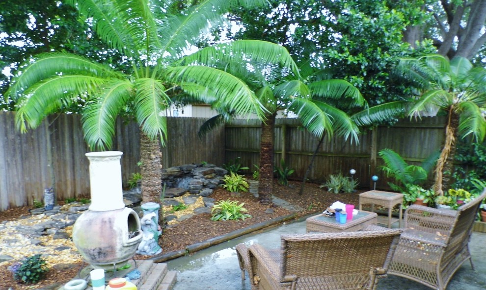Idee per un giardino tropicale esposto a mezz'ombra di medie dimensioni e dietro casa con fontane