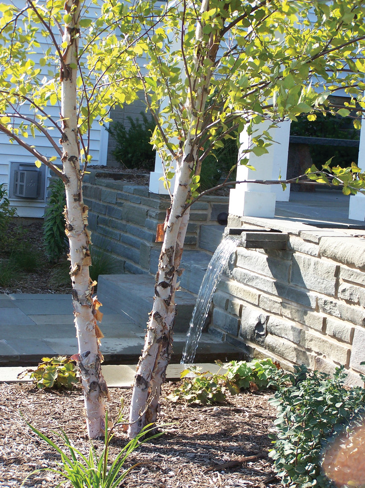 Cette photo montre un jardin arrière moderne avec un point d'eau et des pavés en pierre naturelle.