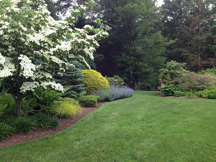 New Canaan Gardens Traditional Landscape New York by