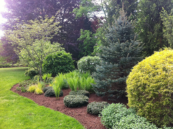 New Canaan Gardens Traditional Landscape New York by