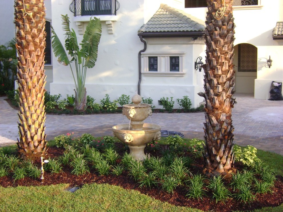 Inspiration for a tropical front yard driveway in Tampa.