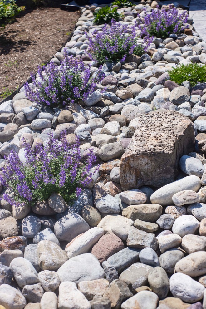 Esempio di un giardino xeriscape minimalista esposto in pieno sole di medie dimensioni e dietro casa in primavera con un ingresso o sentiero e pavimentazioni in cemento