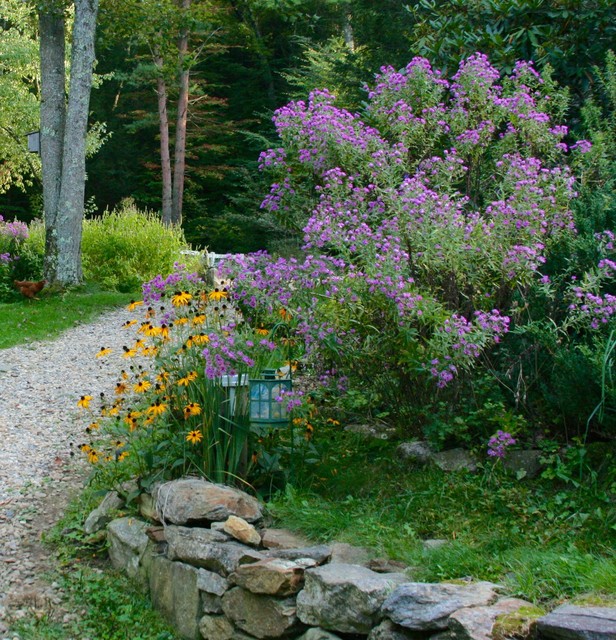 native plant garden design