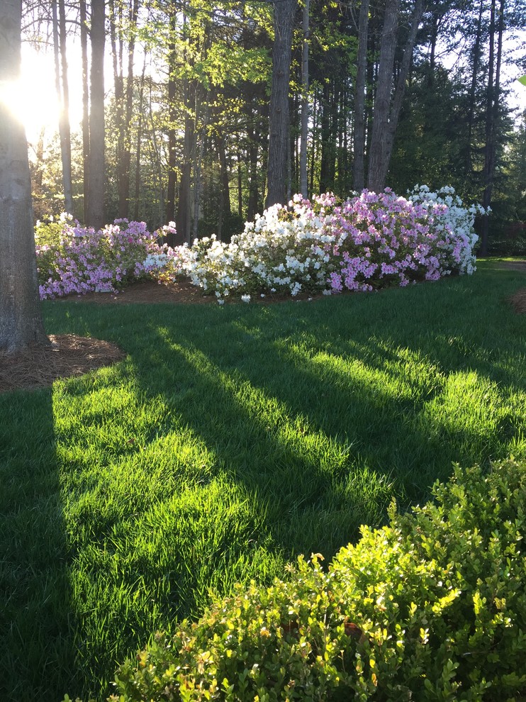 This is an example of a medium sized rural back formal partial sun garden for spring in Charlotte.