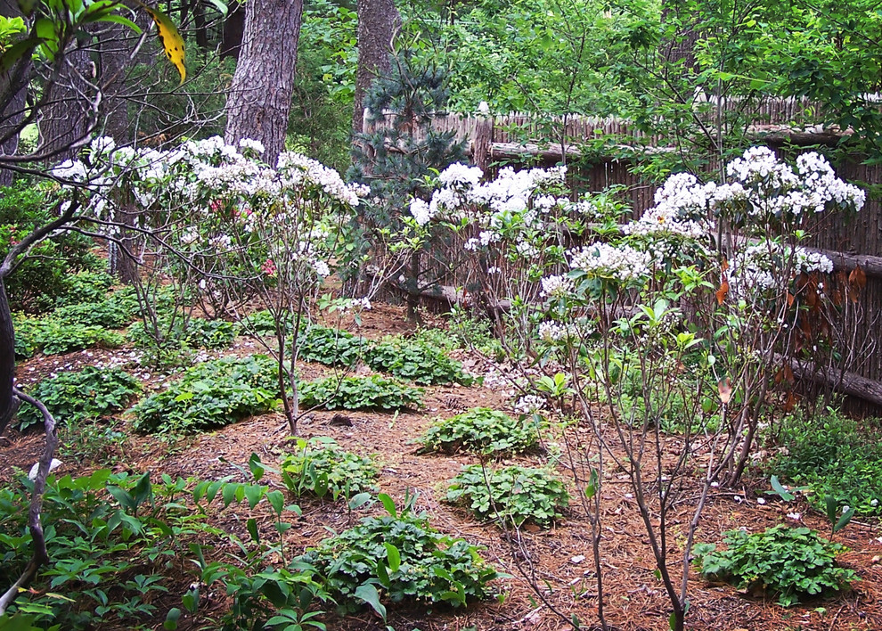 Immagine di un giardino bohémian in ombra di medie dimensioni e nel cortile laterale in primavera con pavimentazioni in pietra naturale