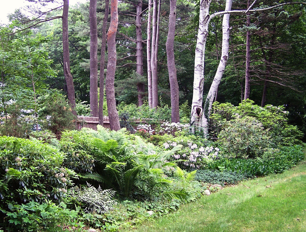 Inspiration för en mellanstor eklektisk trädgård i skuggan längs med huset på sommaren, med naturstensplattor