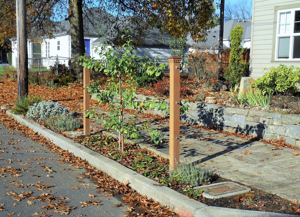 Idee per un piccolo giardino xeriscape chic esposto in pieno sole davanti casa con un ingresso o sentiero e pavimentazioni in pietra naturale