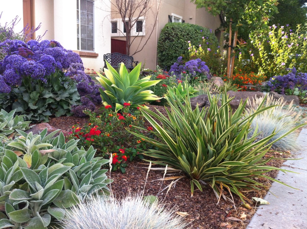 Inspiration for a classic front garden in San Francisco.