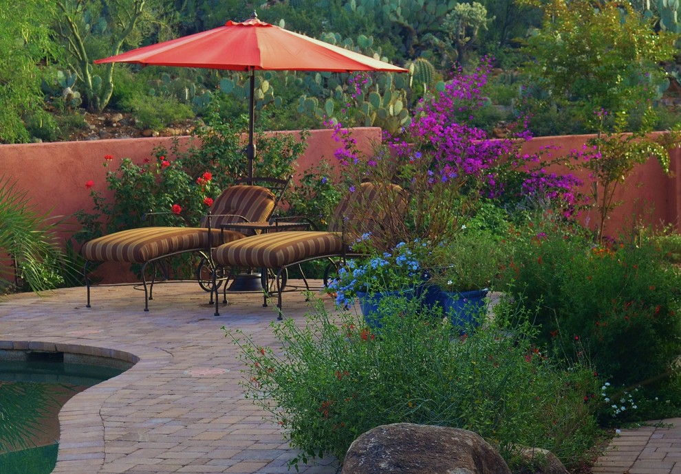 New Southwestern Landscape Phoenix by Landscape Design West
