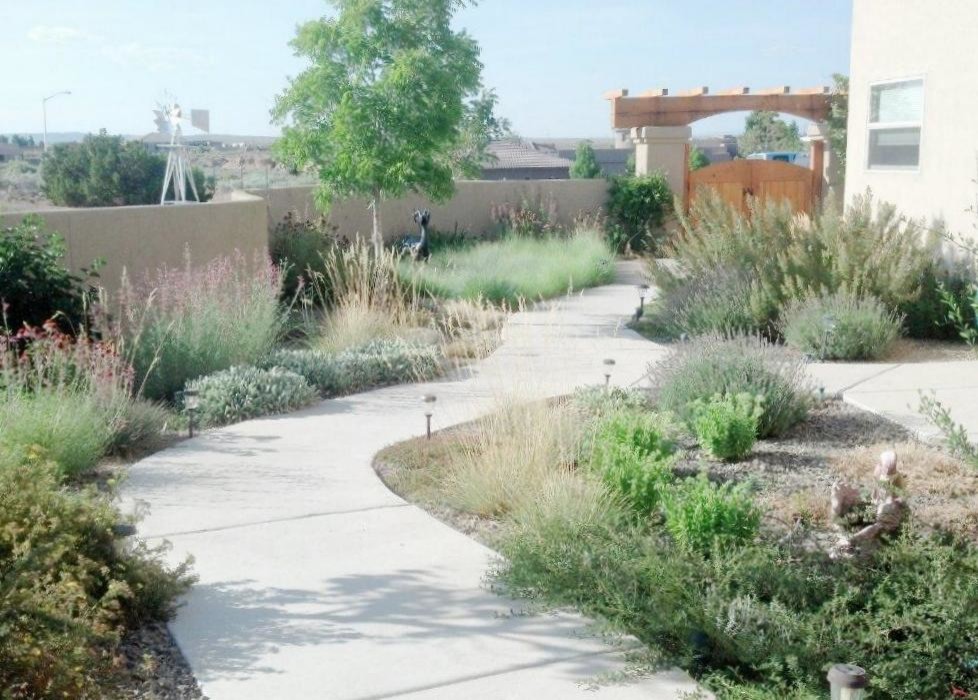 Идея дизайна: большой солнечный, летний засухоустойчивый сад на переднем дворе в стиле неоклассика (современная классика) с хорошей освещенностью и мощением тротуарной плиткой