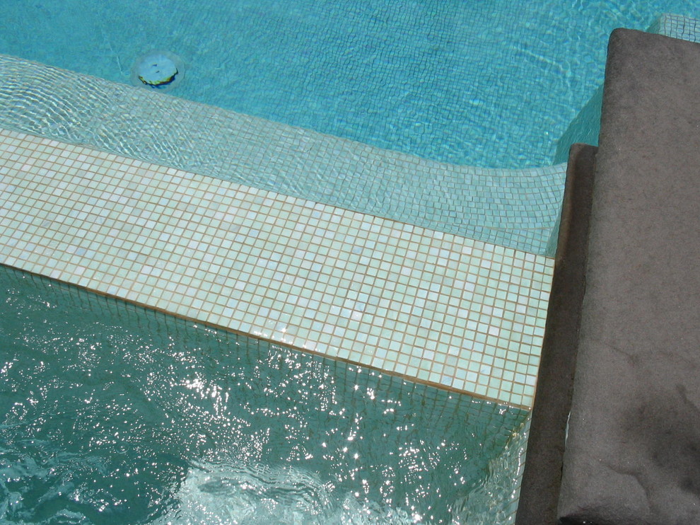 This is an example of a classic swimming pool in New Orleans.