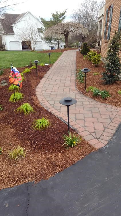 Medium sized classic front full sun garden in Philadelphia with a garden path and brick paving.
