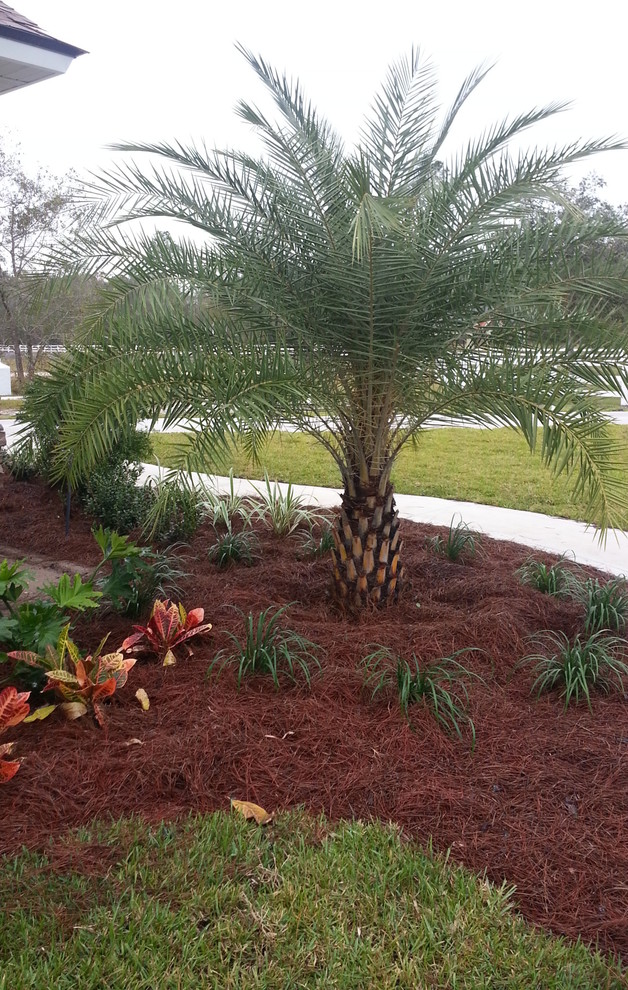 New Project Exotique Jardin Jacksonville par Stonehurst Custom