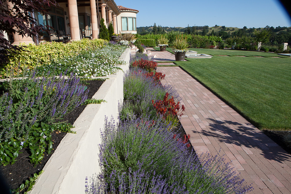 New Projects Continued Transitional Landscape San Francisco by