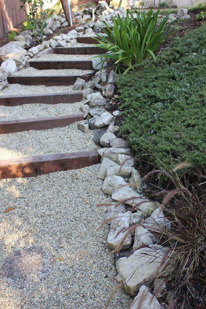 This is an example of a contemporary partial sun backyard gravel landscaping in Los Angeles.