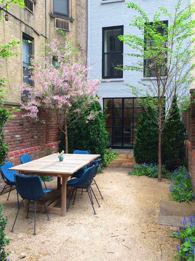 Inspiration for a small contemporary shade courtyard landscaping in New York.