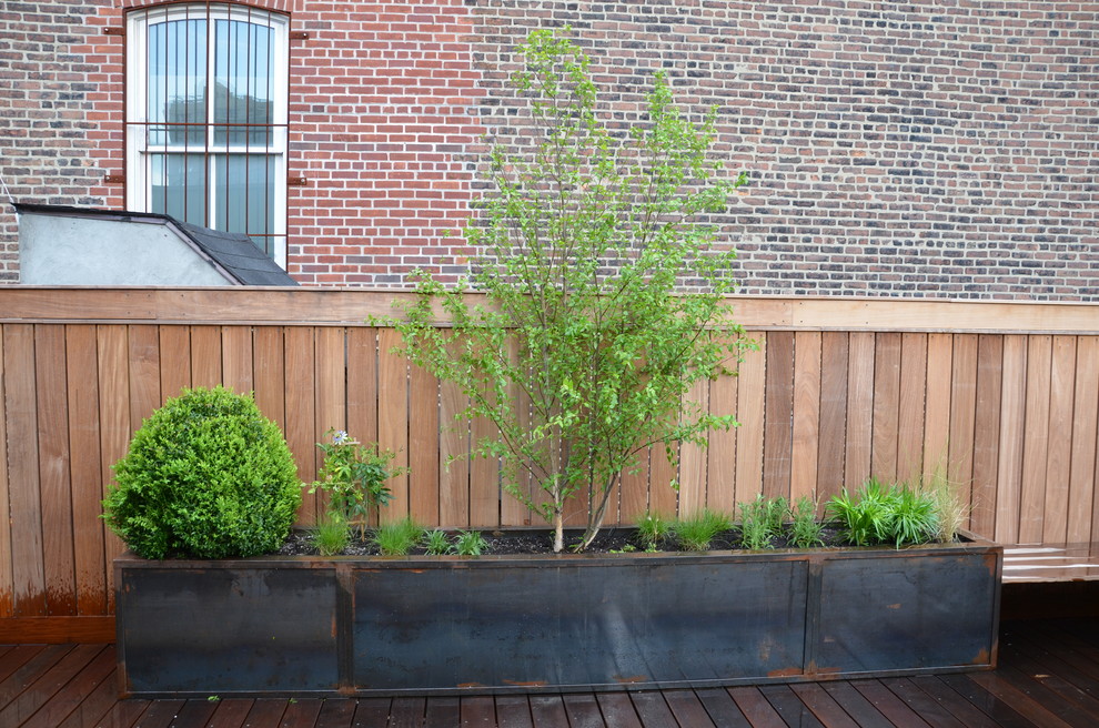 Exemple d'un petit jardin tendance avec une exposition ensoleillée et une terrasse en bois.