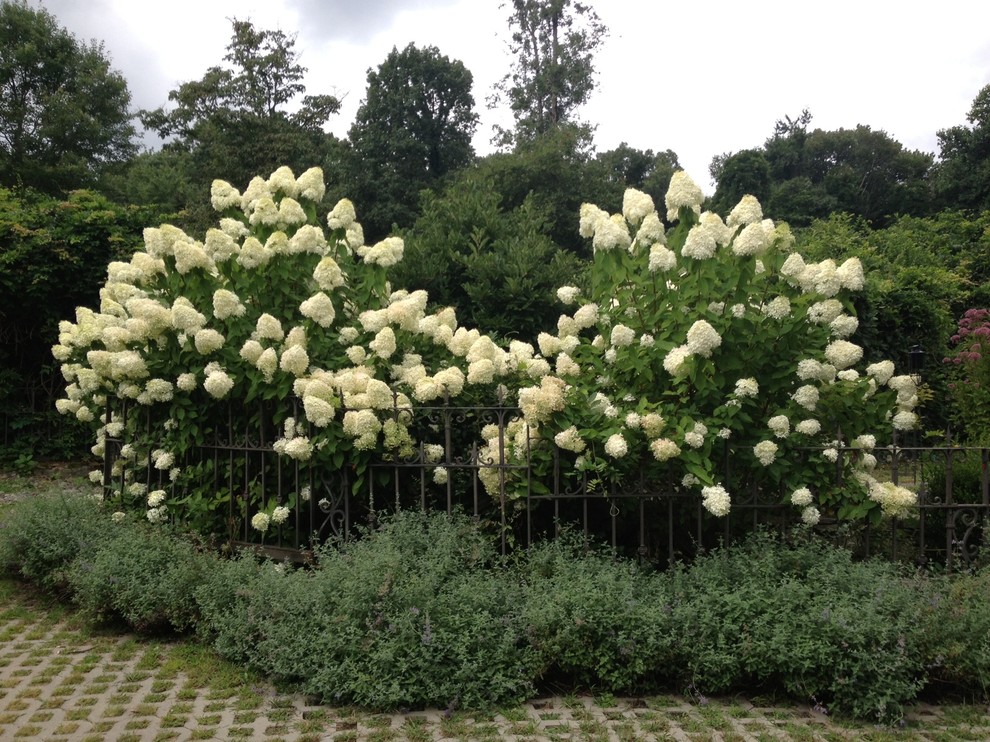 Cette photo montre un grand jardin montagne l'été avec une exposition partiellement ombragée et des pavés en pierre naturelle.