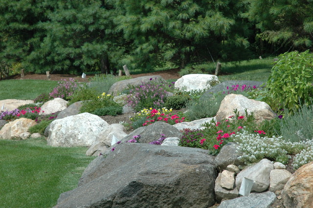 How to Create a Wildflower Front Yard — Meadowlark Journal