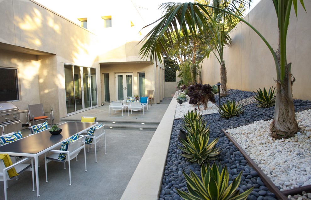 Пример оригинального дизайна: большой солнечный засухоустойчивый сад на заднем дворе в стиле модернизм с хорошей освещенностью