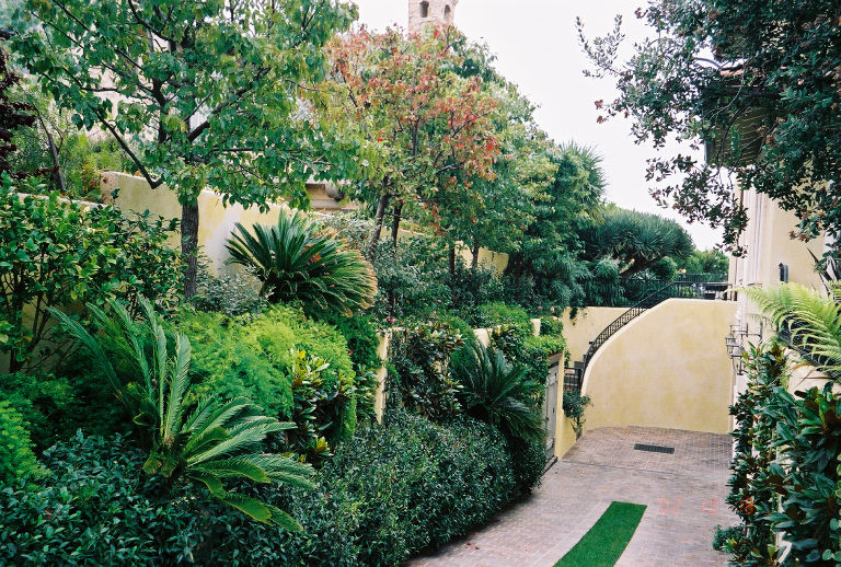 Photo of a mediterranean garden in Orange County.