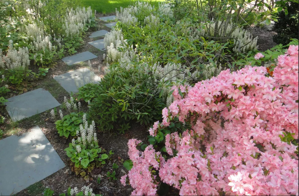 Ejemplo de camino de jardín contemporáneo de tamaño medio en primavera en patio trasero con exposición parcial al sol, adoquines de piedra natural y jardín francés