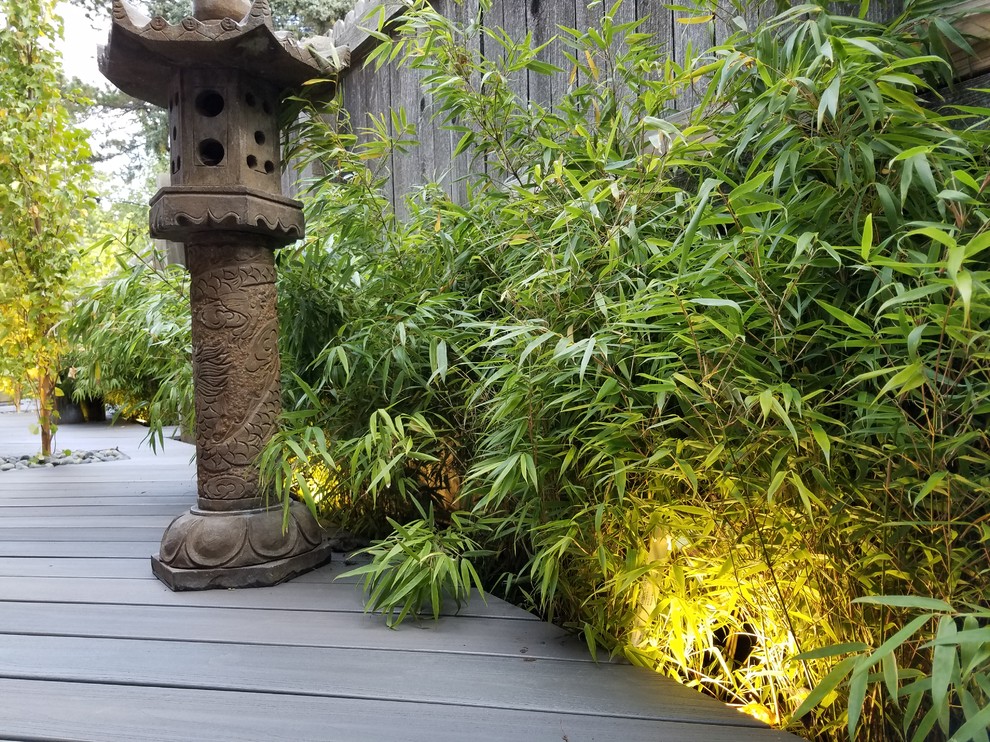 Kleiner, Halbschattiger Asiatischer Garten neben dem Haus, im Sommer mit Dielen und Wasserspiel in Denver